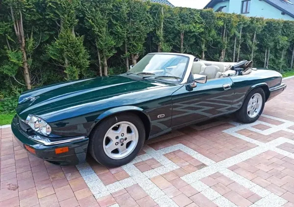 jaguar śląskie Jaguar XJS cena 59500 przebieg: 100000, rok produkcji 1995 z Biała